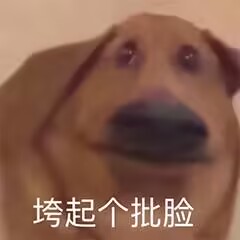 天楼 的头像