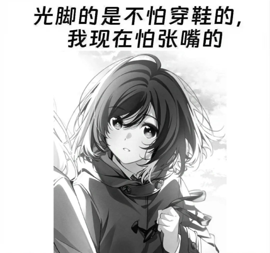 天贶 的头像